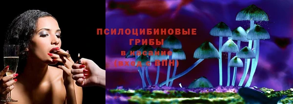 мдпв Сосновый Бор