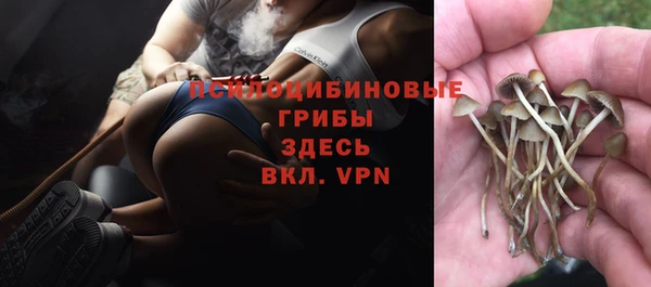 кристаллы Богородск