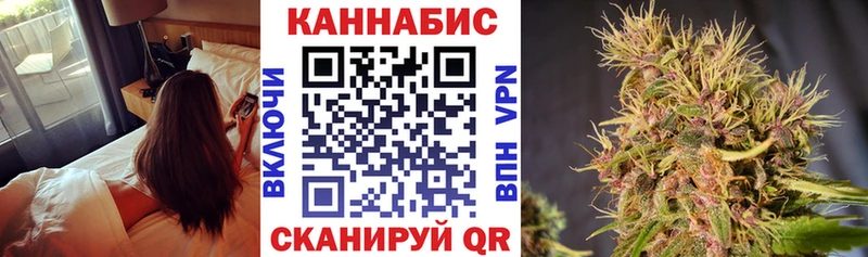 Шишки марихуана планчик  Дмитров 